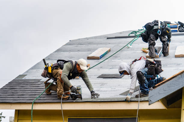 Professional Roofing technician working in El Paso, IL